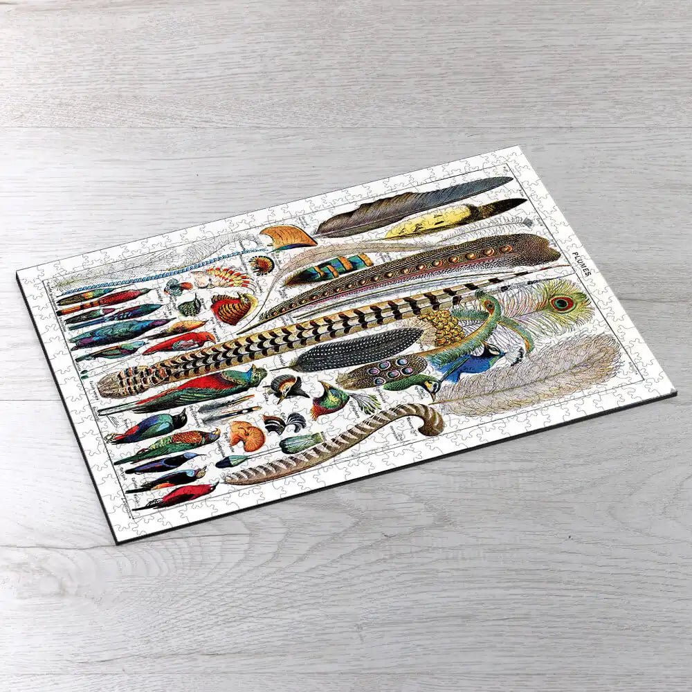 Plumes - Feathers Puzzle - PuzzlesPrint