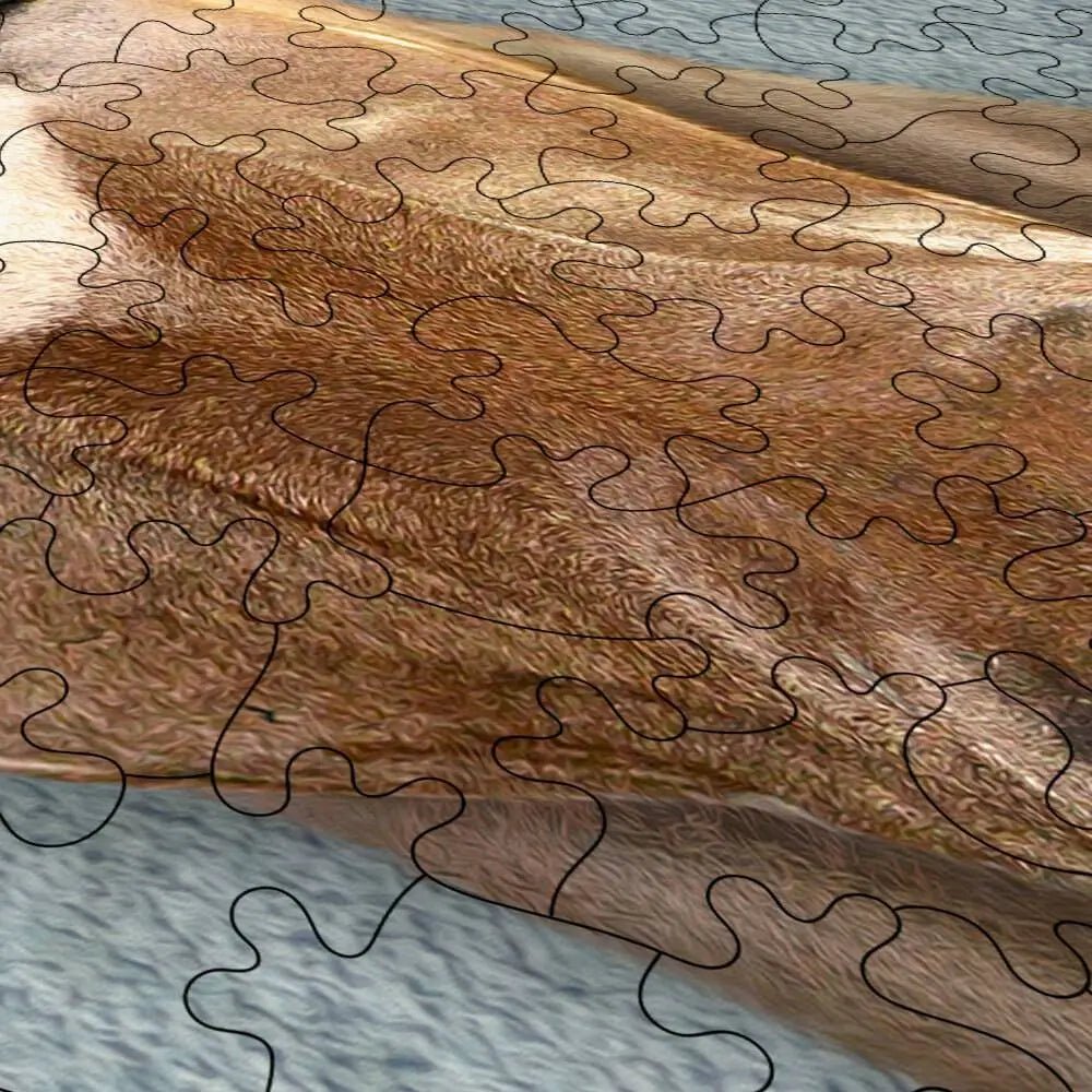 Antelope Puzzle - PuzzlesPrint