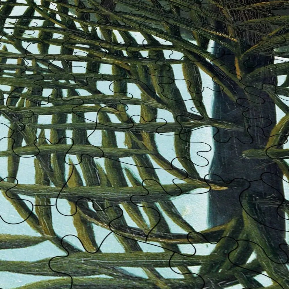 Virgin Forest at Sunset Puzzle - PuzzlesPrint