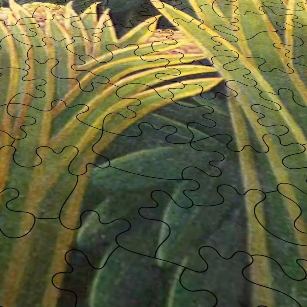 The Snake Charmer Puzzle - PuzzlesPrint