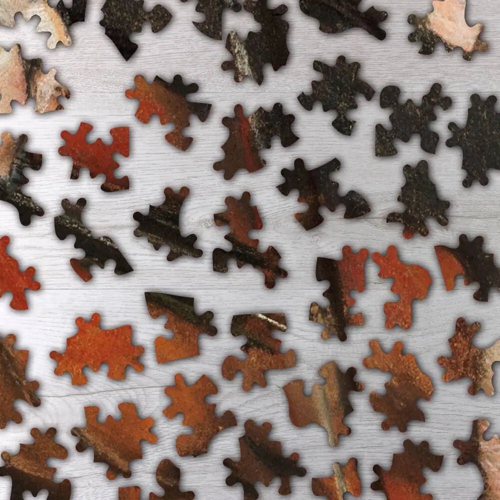 The Dance Lesson Puzzle - PuzzlesPrint