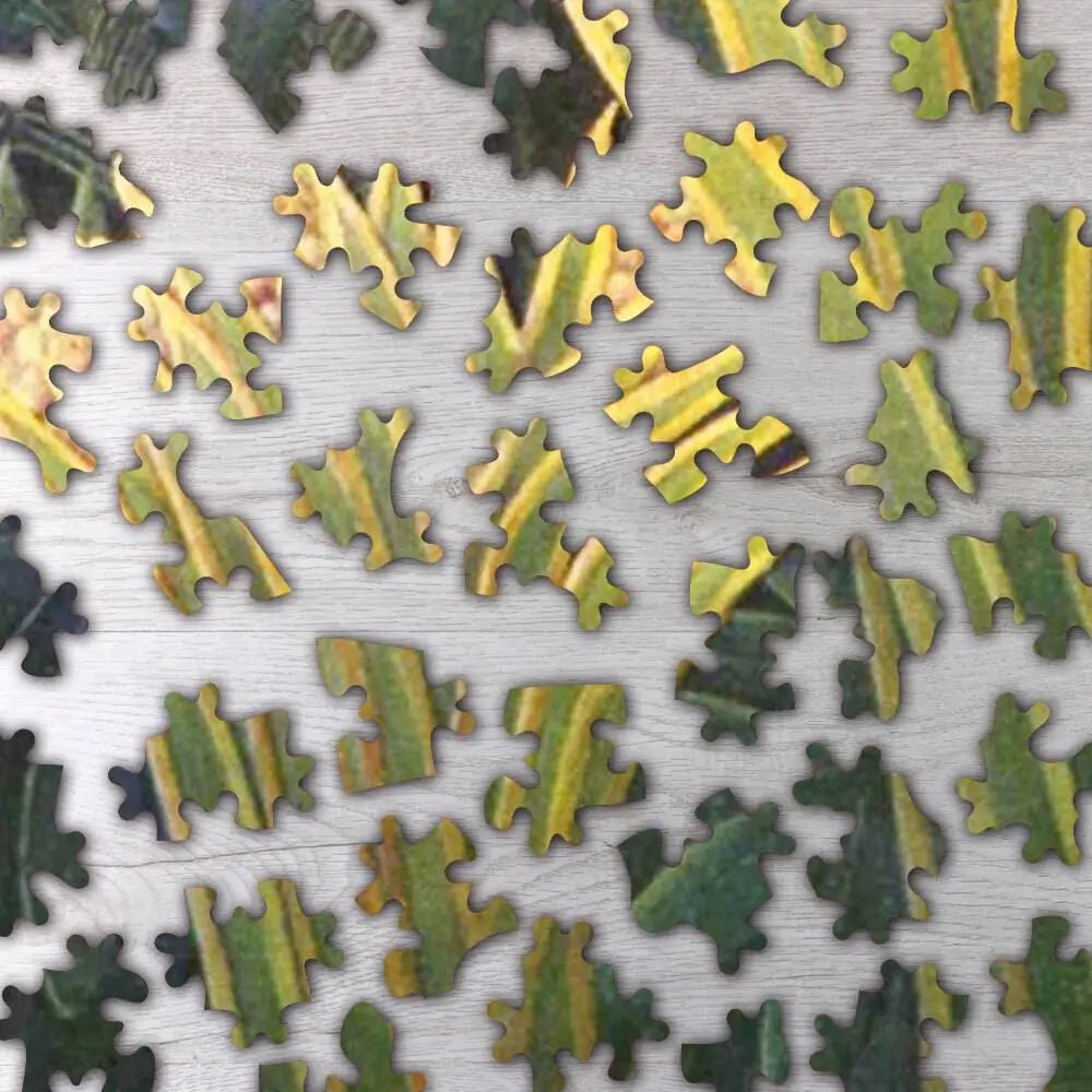 The Snake Charmer Puzzle - PuzzlesPrint