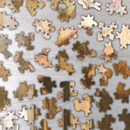 The Dancing Class Puzzle - PuzzlesPrint