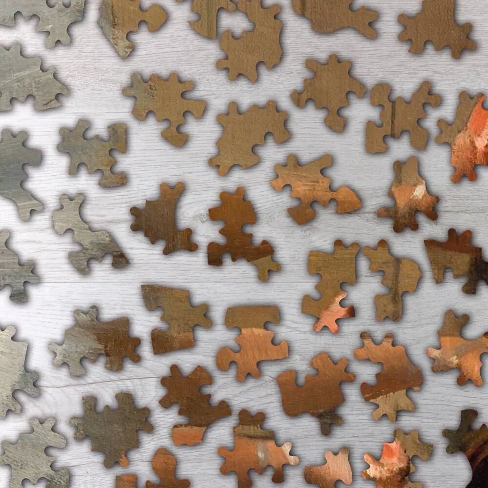 The Dance Class Puzzle - PuzzlesPrint