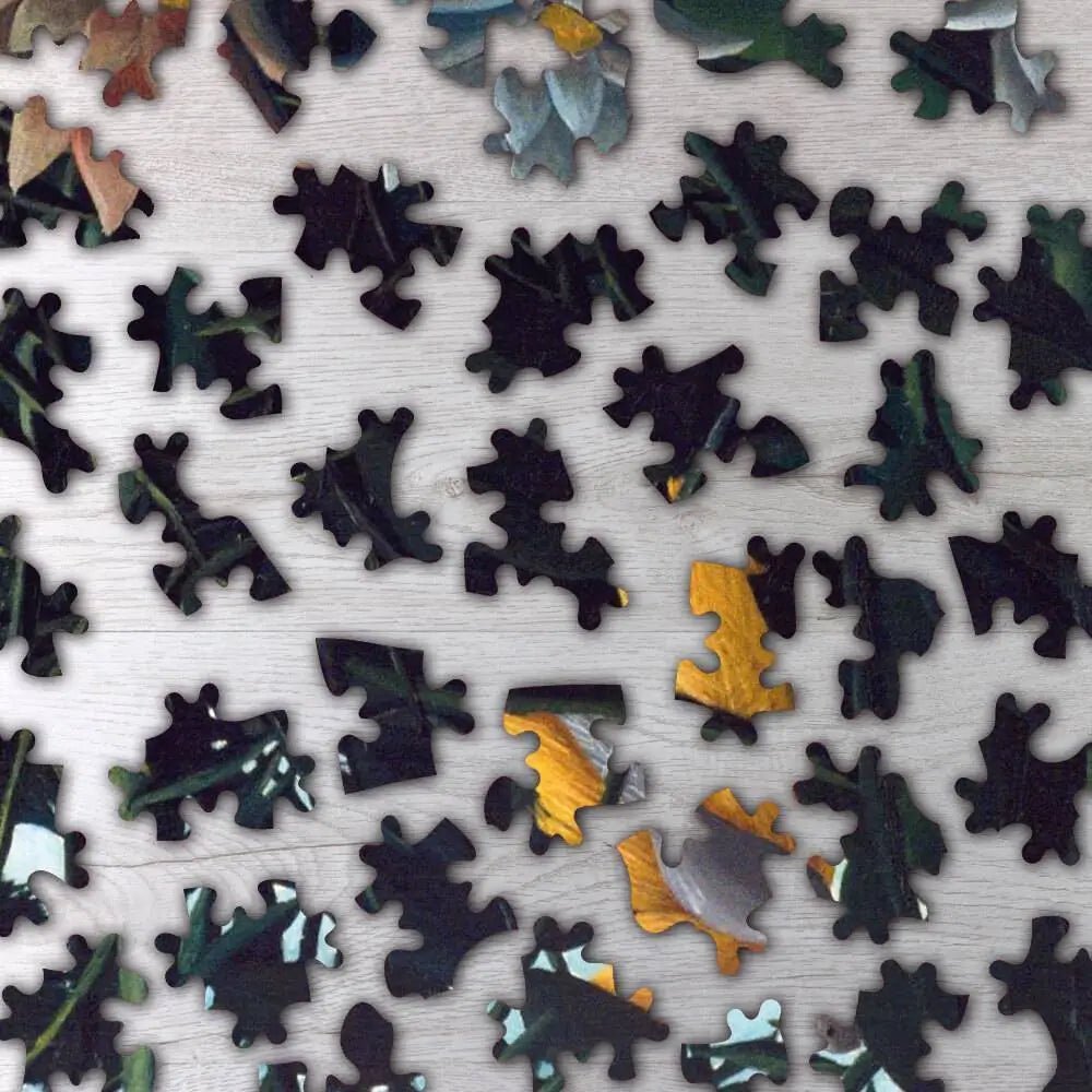 The Dream Puzzle - PuzzlesPrint