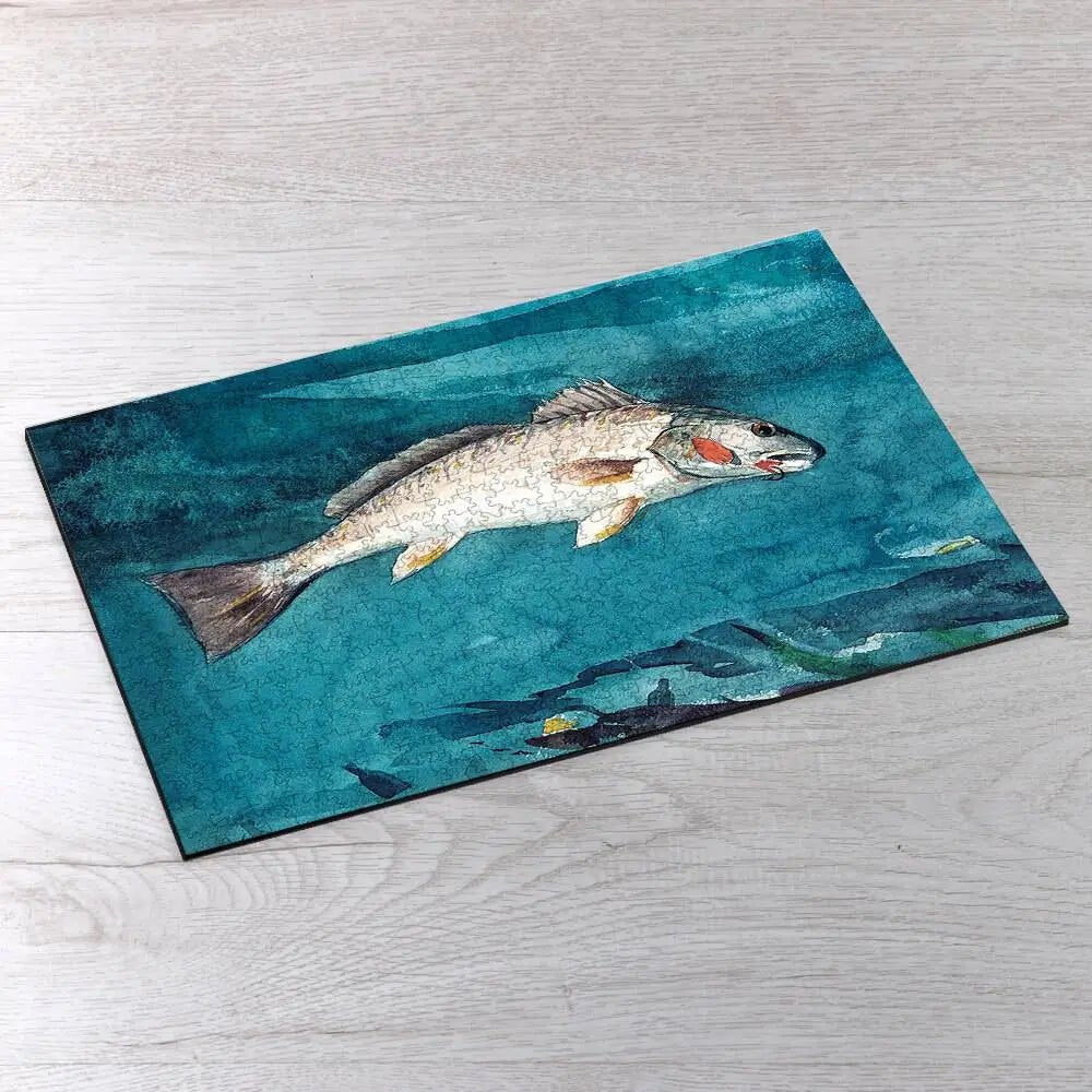 Channel Bass Puzzle - PuzzlesPrint