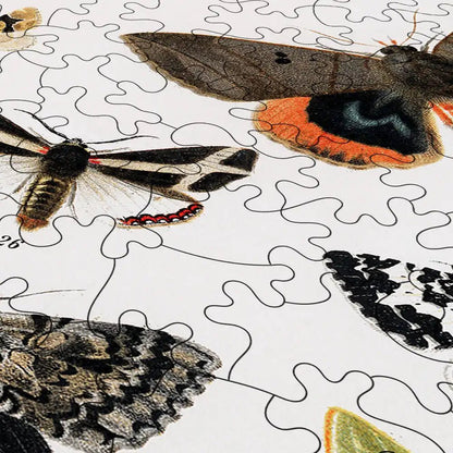 Antique Butterfly and Moth Lithograph Puzzle - PuzzlesPrint