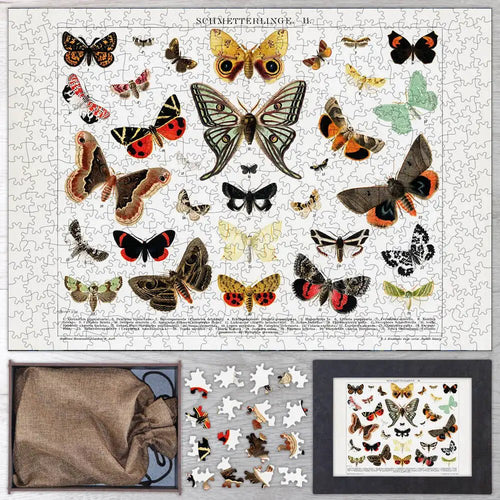 Antique Butterfly and Moth Lithograph Puzzle - PuzzlesPrint