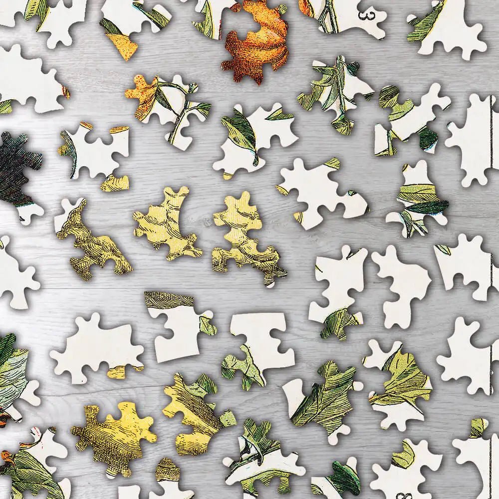 Fruits and Vegetables, Nouveau Larousse Illustre Puzzle - PuzzlesPrint