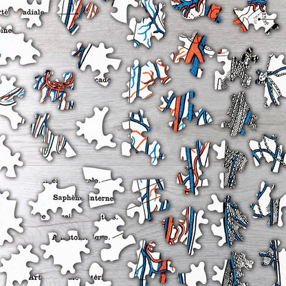 Illustration of Human Nervous and Muscular System Puzzle - PuzzlesPrint