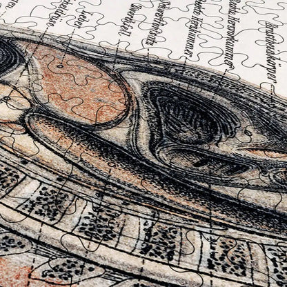 Korpers Des Menschen Puzzle - PuzzlesPrint