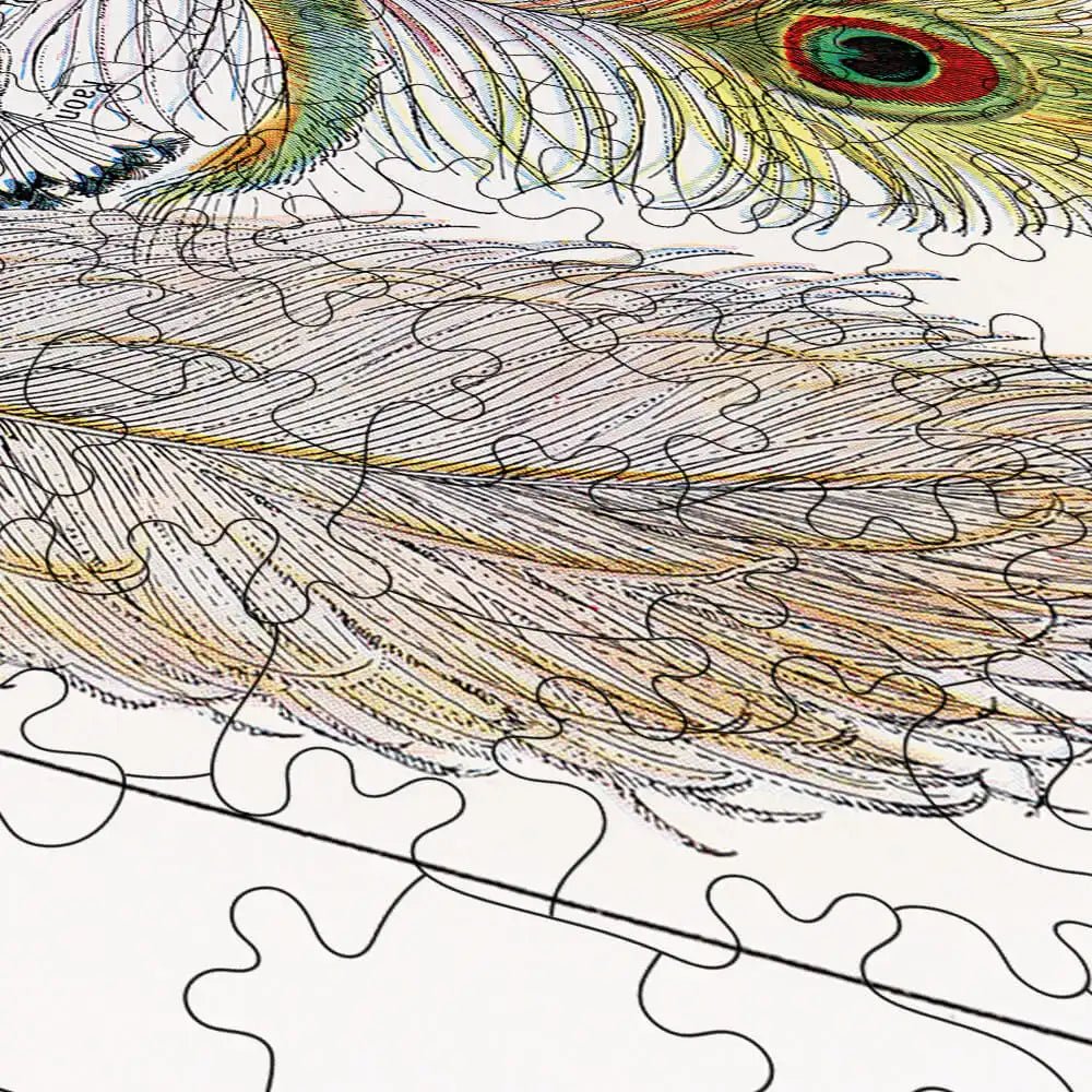 Plumes - Feathers Puzzle - PuzzlesPrint