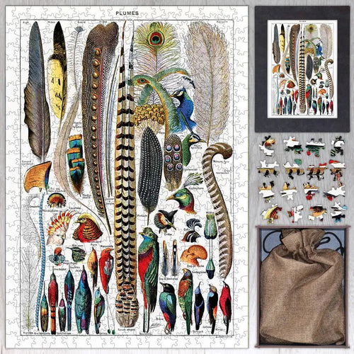 Plumes - Feathers Puzzle - PuzzlesPrint