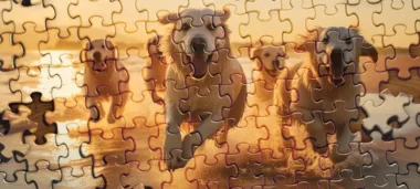 Los 10 mejores puzzles para perros