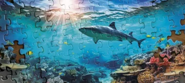 10 Best Photo Puzzles
