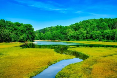 Tugaloo River Marsh Jigsaw Puzzle