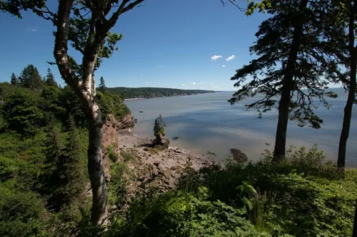 St Martins Water Fundy Jigsaw Puzzle
