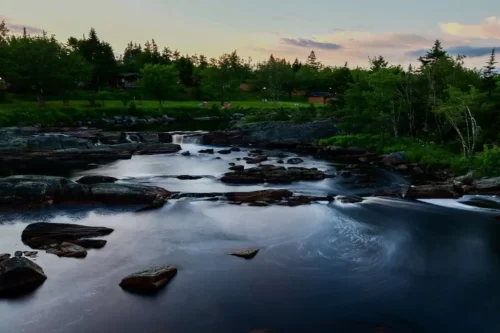 Nova Scotia Forest River Jigsaw Puzzle