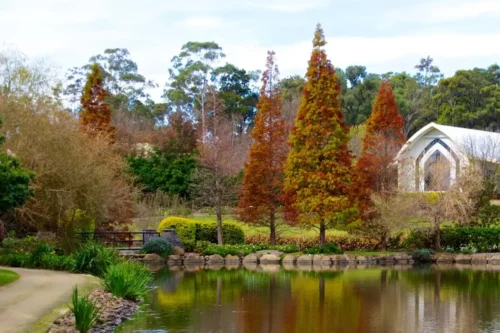 New South Wales Gardens Jigsaw Puzzle