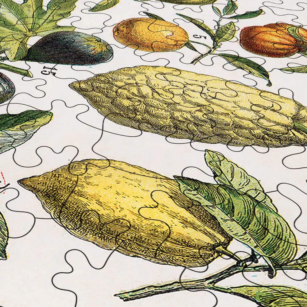 Fruits and Vegetables, Nouveau Larousse Illustre Photo