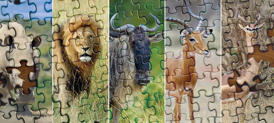 Animal Puzzles