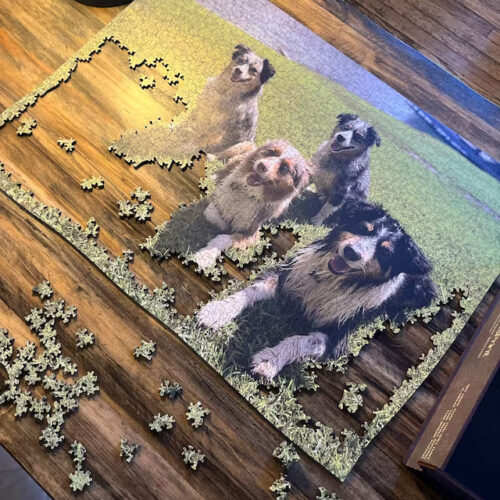 Custom Wooden Jigsaw Puzzles för vuxna och barn foto recension